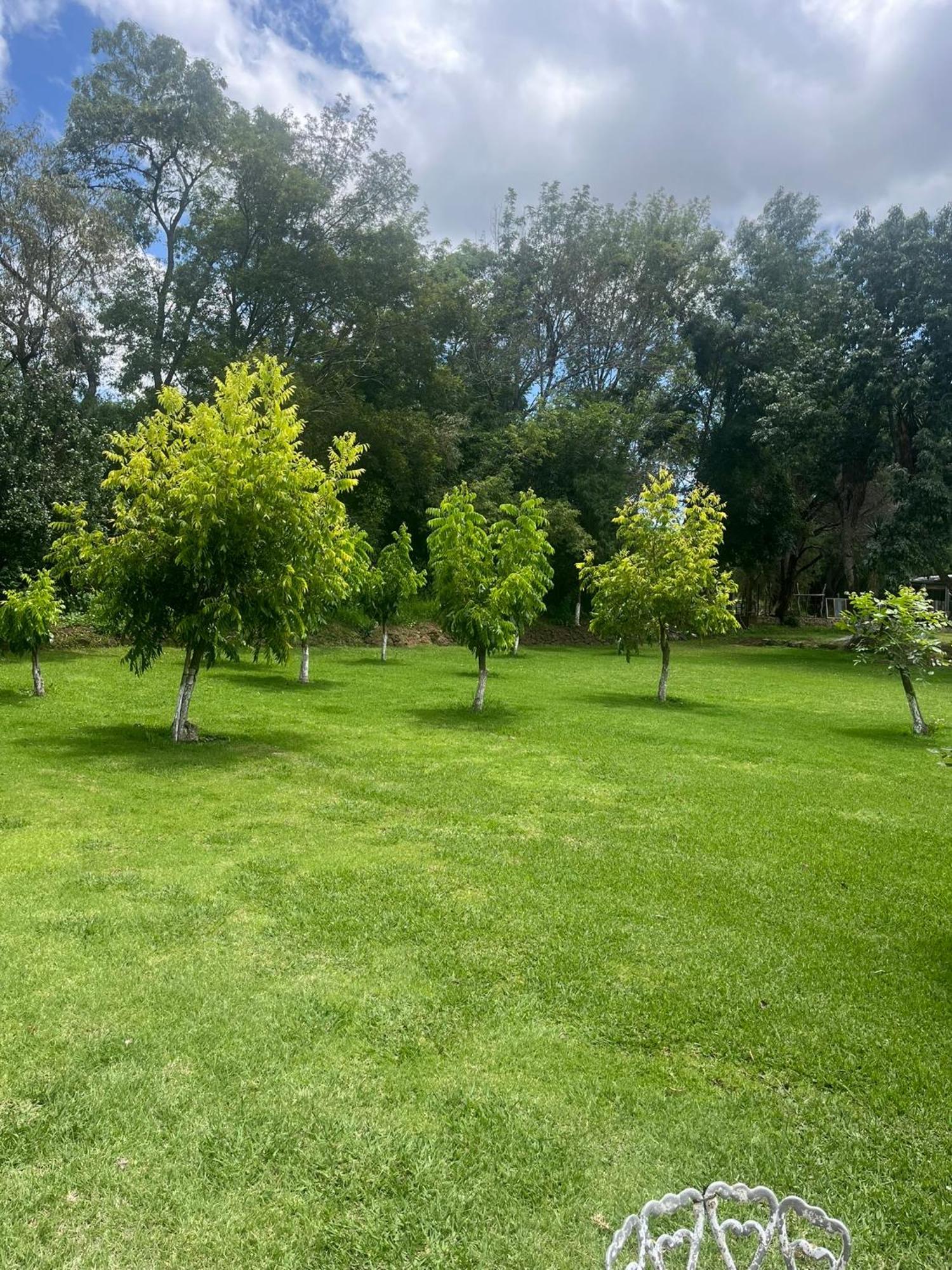 Cabañas las Cumbres Huasca de Ocampo Exterior foto